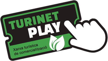 Logo TurinetPlay